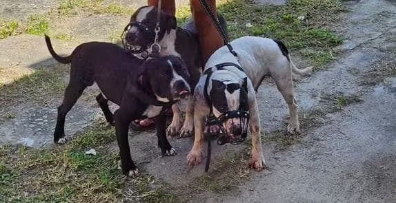 Foto: Arquivo pessoal