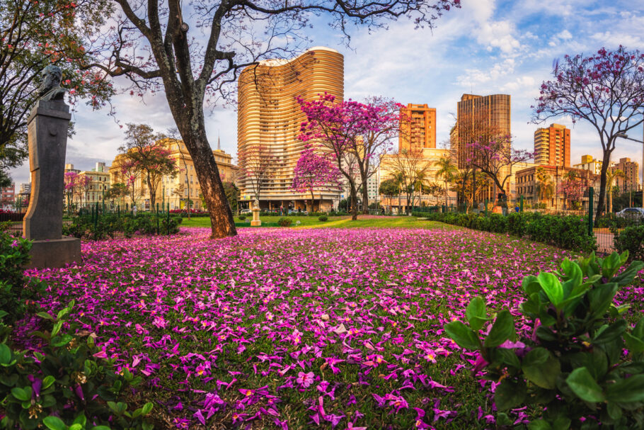 Gol faz promoção relâmpago com passagens a partir de R$ 135