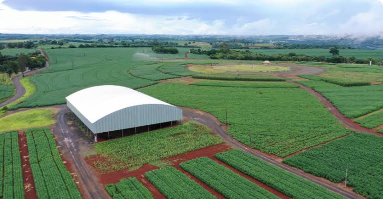 Apesar do freio de Lula, PIB da agropecuária deve crescer 5%