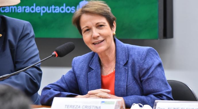Invasores sem-terra entram em fazenda da família da senadora Tereza Cristina e aumentam tensão agrária no MS