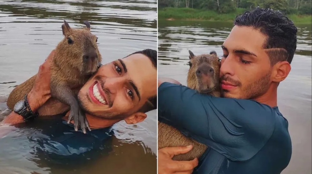 Justiça determina que capivara Filó entregue ao Ibama volte a morar com influenciador; Veja detalhes da decisão