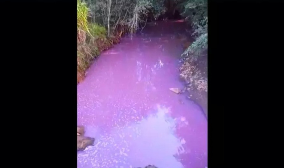 Rio fica rosa em Santa Catarina e autoridades investigam causa; VEJA VÍDEO