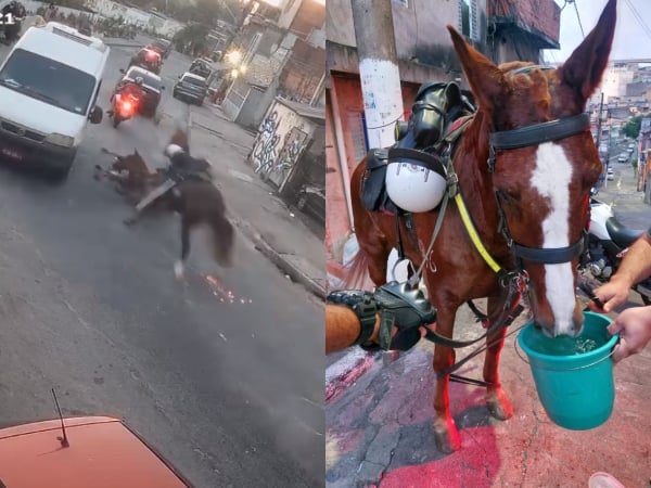 Cavalos da PM fogem dos agentes e saem correndo pelas ruas de SP; VEJA VÍDEO