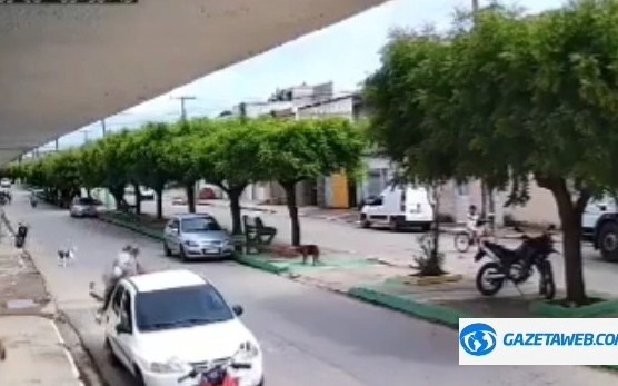 Criança montada em cavalo colide com carro; VEJA VÍDEO