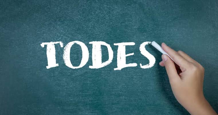 Crítico literário diz que o gênero neutro é uma ‘violência’ contra a língua portuguesa