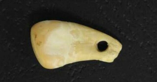 DNA humano é encontrado em pingente de cerca de 20 mil anos 