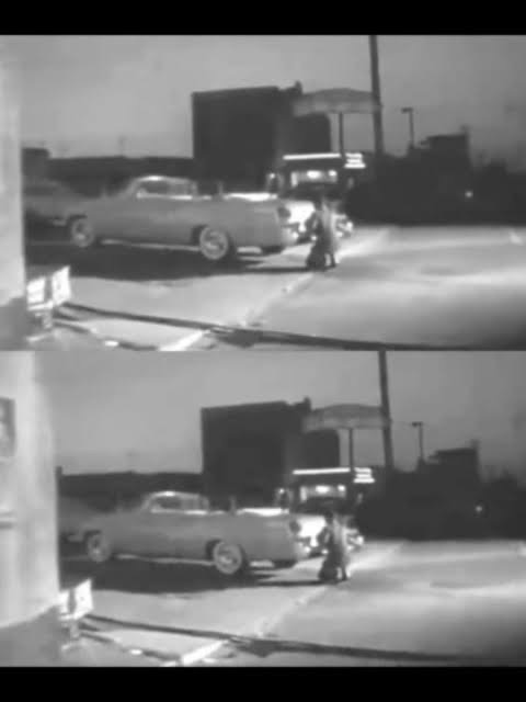 Inteligência artificial lê cérebro de rato e recria cenas vistas por ele 