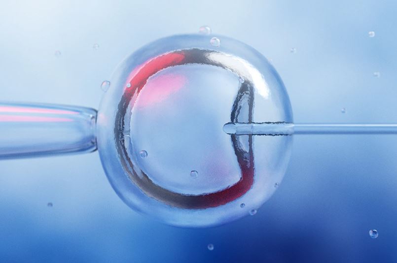 Nasce primeiro bebê do Reino Unido com o DNA de três pessoas; entenda como isso é possível