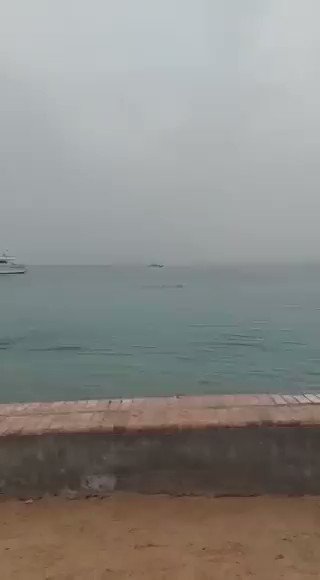 BRUTAL: Homem  foi devorado por um tubarão enquanto nadava em uma praia do Egito; VEJA VÍDEO
