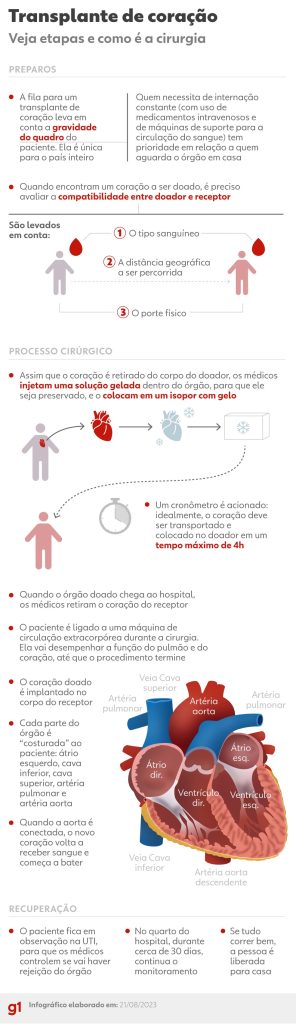 Veja as etapas do transplante de coração — Foto: Arte/g1