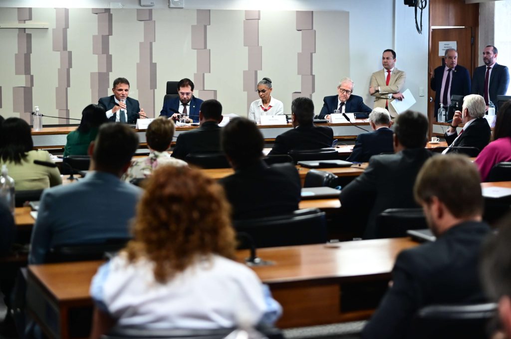 marina silva