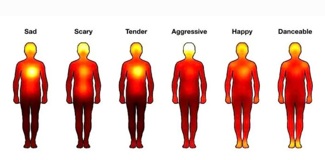 Mapa de calor indica com qual parte do corpo a música mexe