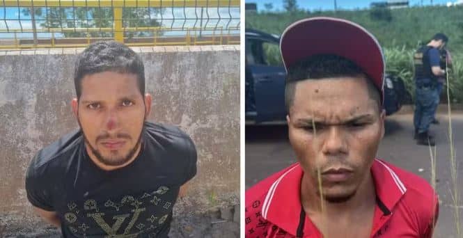 Reprodução