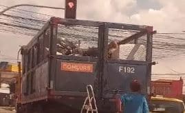 Reprodução/Redes Sociais
