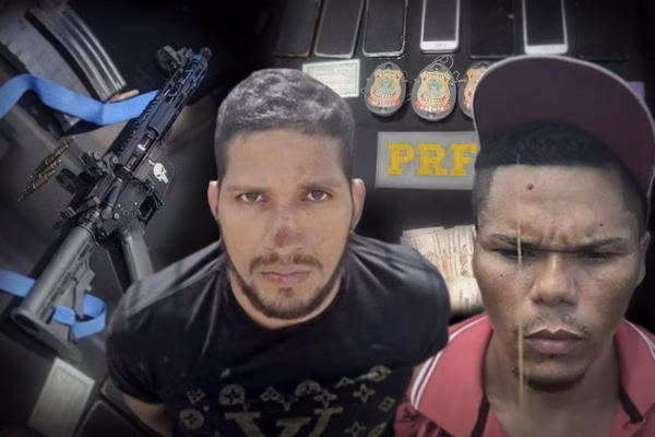 Divulgação