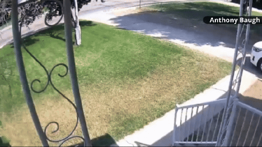 Avião cai em jardim nos Estados Unidos