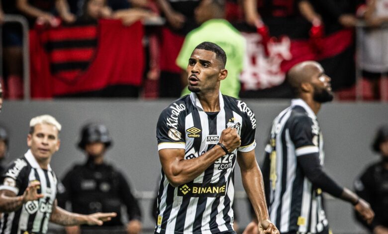 Foto: Raul Baretta/Santos