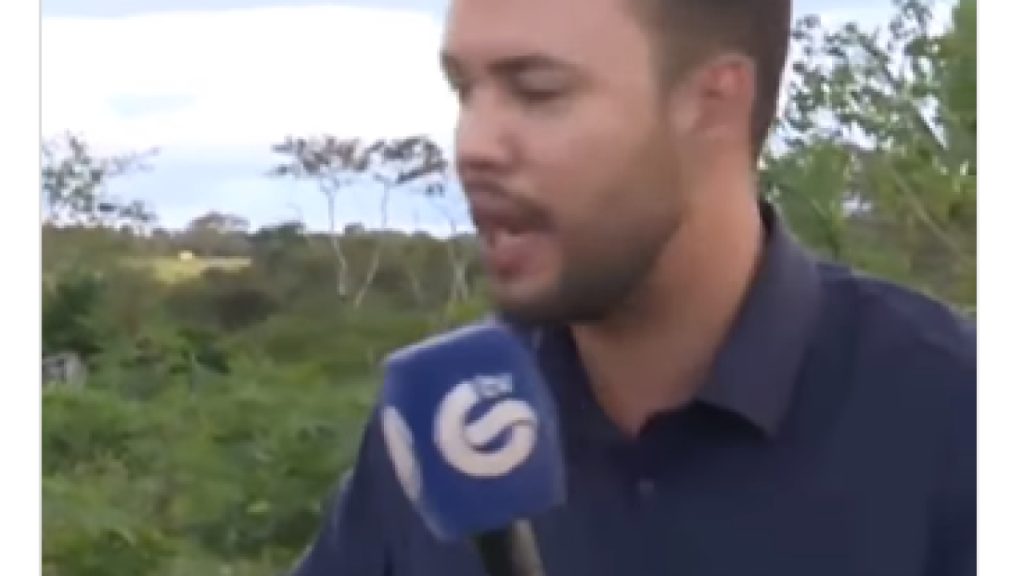 REPRODUÇÃO