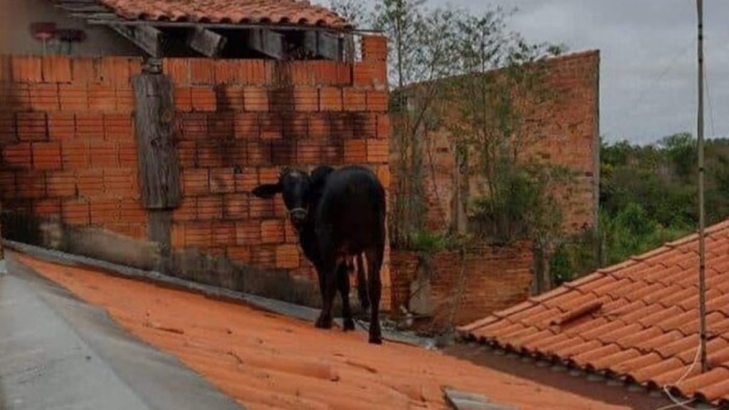 Arquivo pessoal