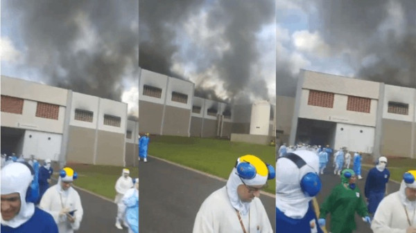 Reprodução