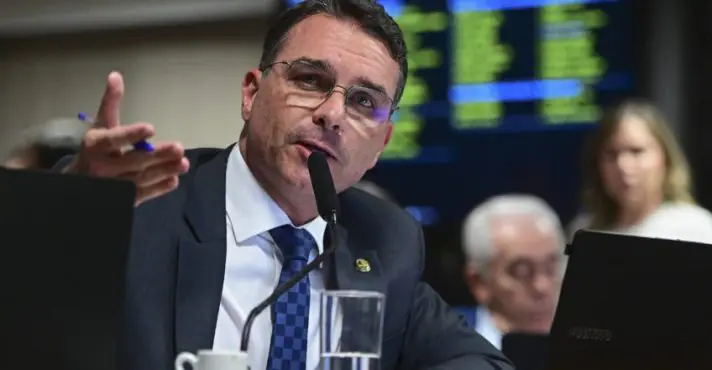 Trecho da representação de Flávio Bolsonaro ao TCU sobre a ex-nora de Lula | Foto: Reprodução