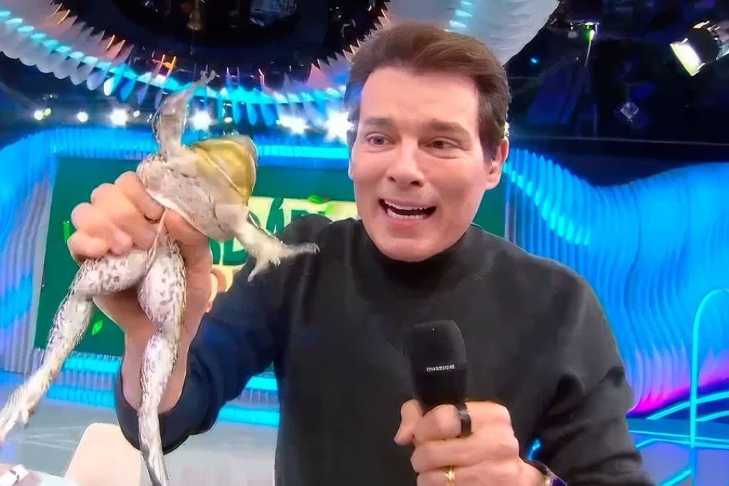 Celso Portiolli, que é acusado de maus-tratos a rã no Domingo Legal, do SBT - Reprodução SBT