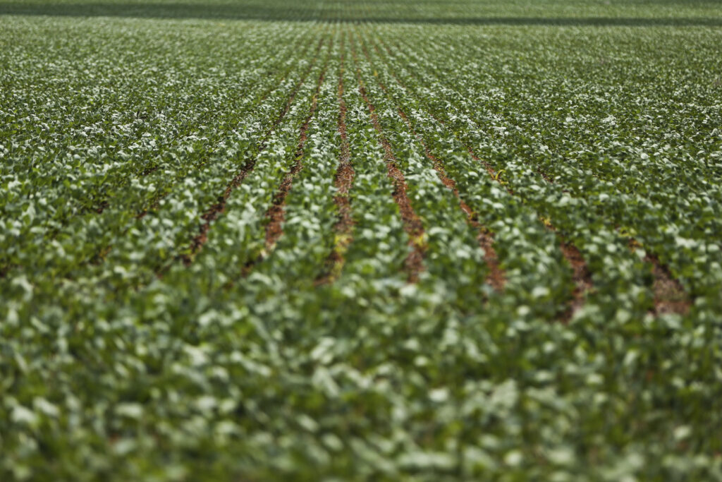 O agro é o setor com menor intervenção legislativa